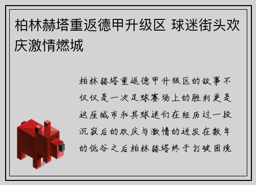 柏林赫塔重返德甲升级区 球迷街头欢庆激情燃城